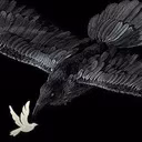 my-first-solo-showdown-conquering-the-oblivion-skeleton-commander-in-throne-and-liberty-image-3